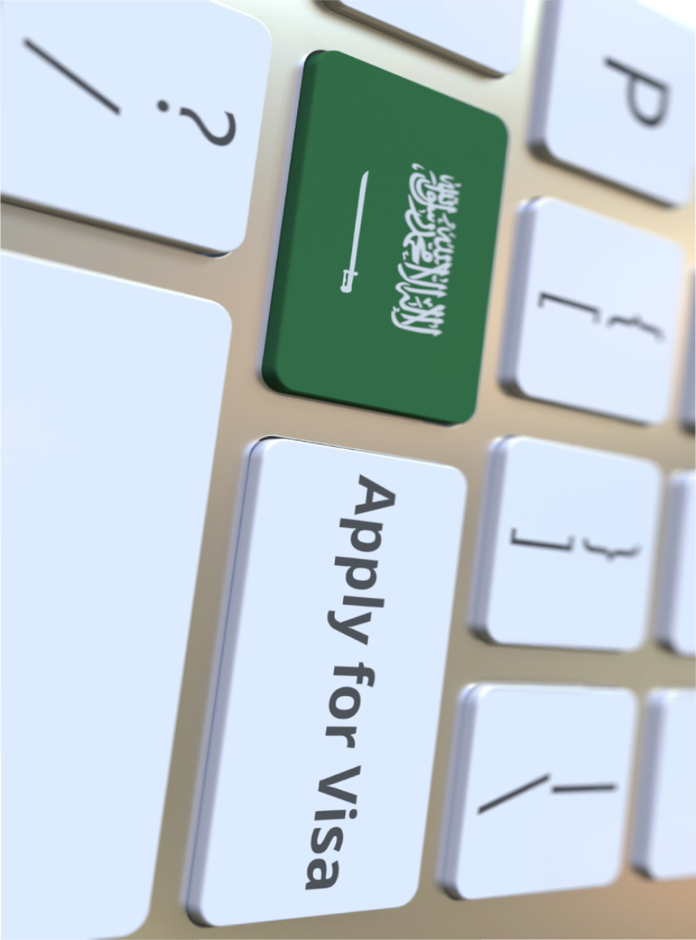 Visa